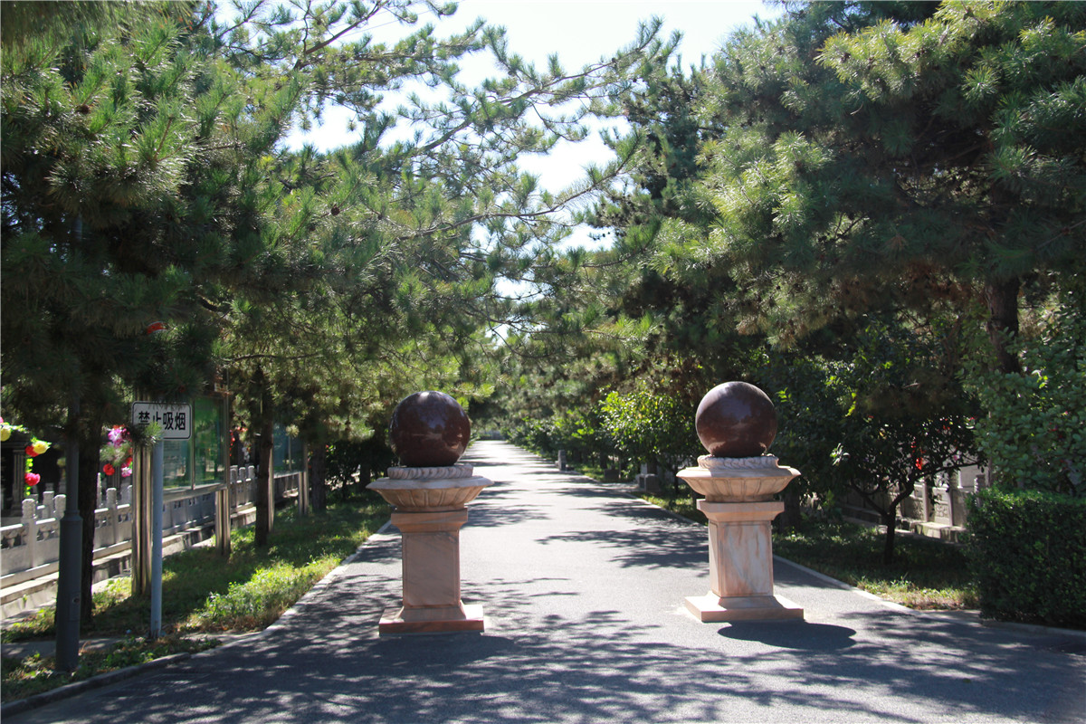 道路两侧