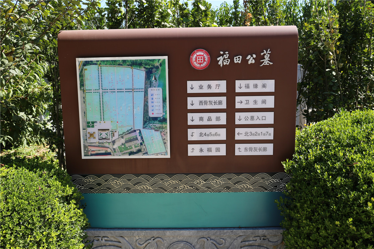 导图