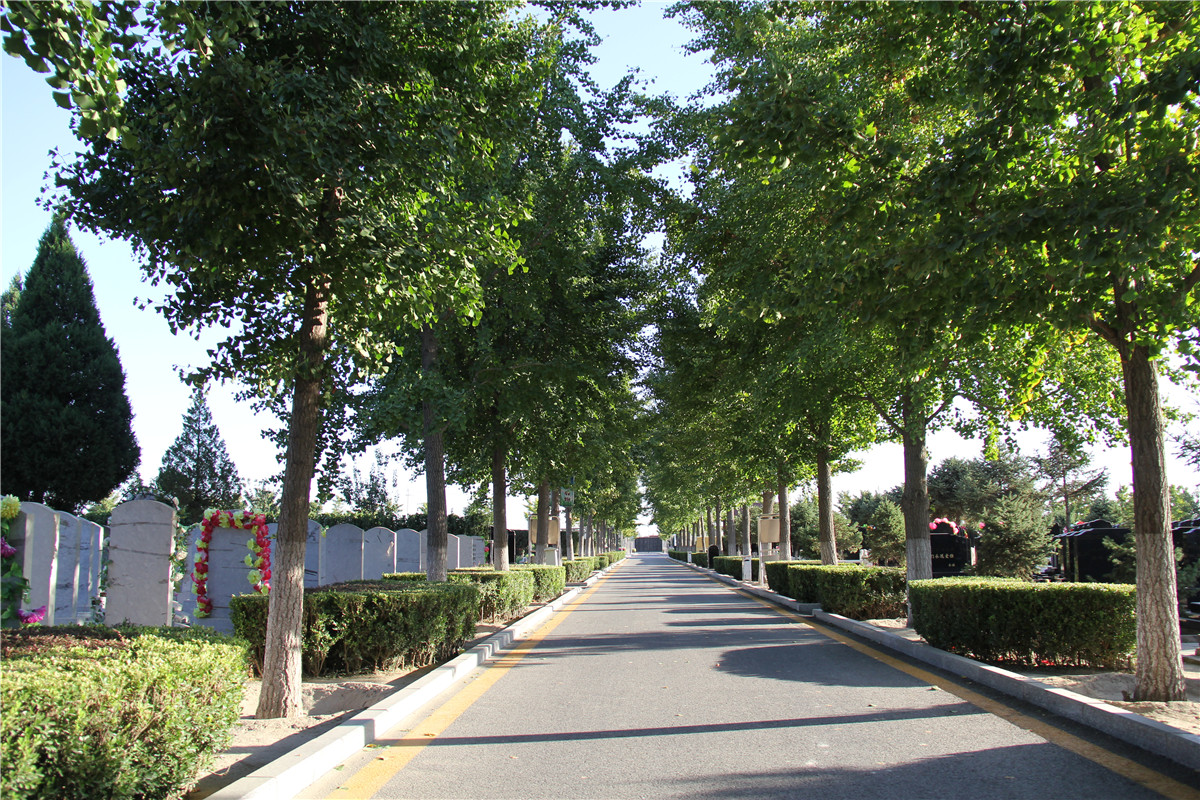 道路