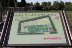 平面图