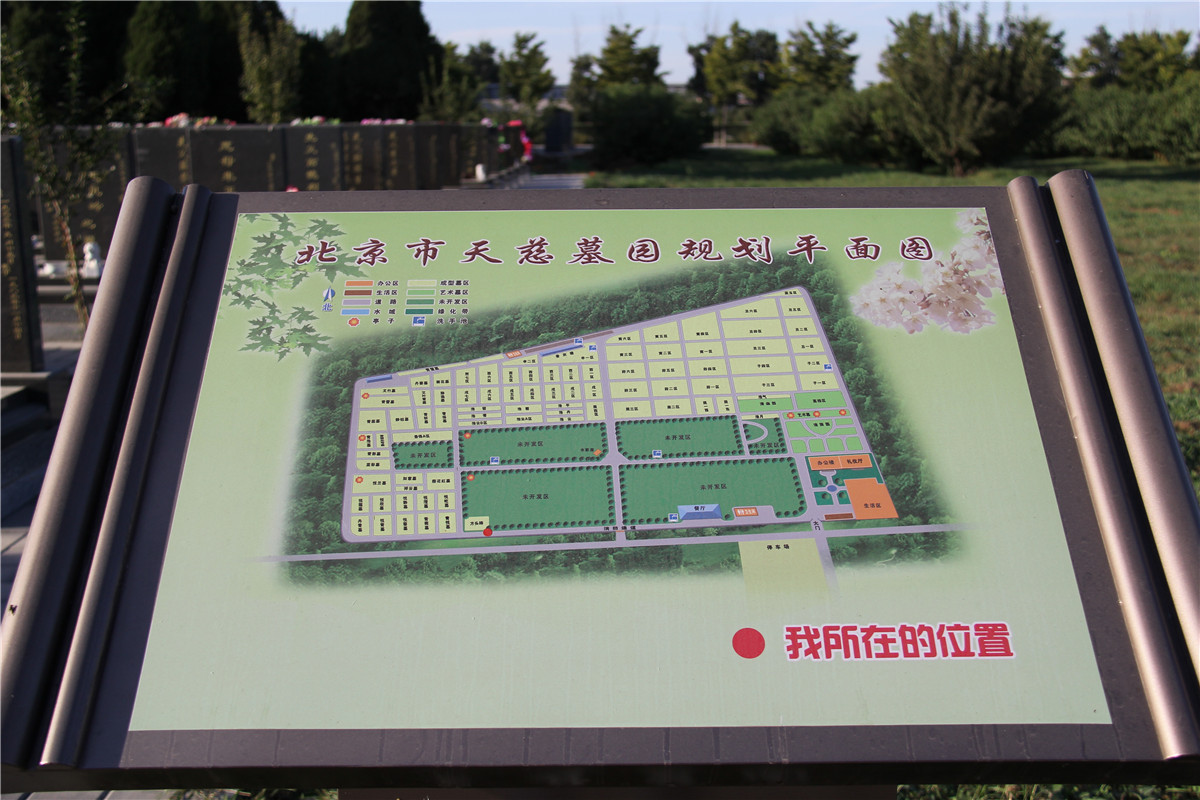 平面图