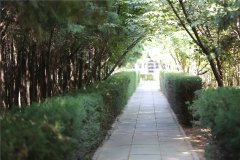道路