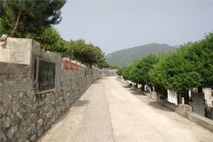 道路