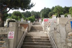 楼梯