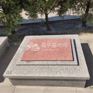 福聚苑卧碑