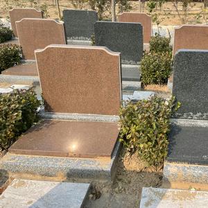 立碑5