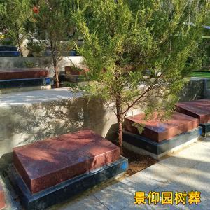 景仰园树葬墓地