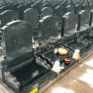 仁康苑双穴立碑