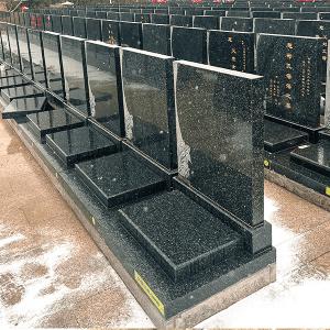 仁修苑双穴立碑