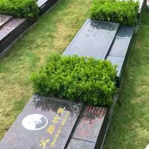 福泽园福安卧碑