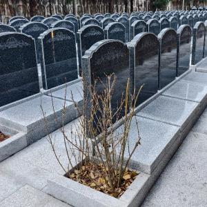 福泽园西六B区双穴立碑